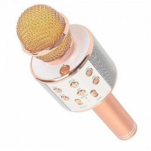Беспроводной портативный микрофон для караоке Wster WS858 Original Rose Gold Беспроводной портативный микрофон для караоке Wster WS858 Original Rose Gold